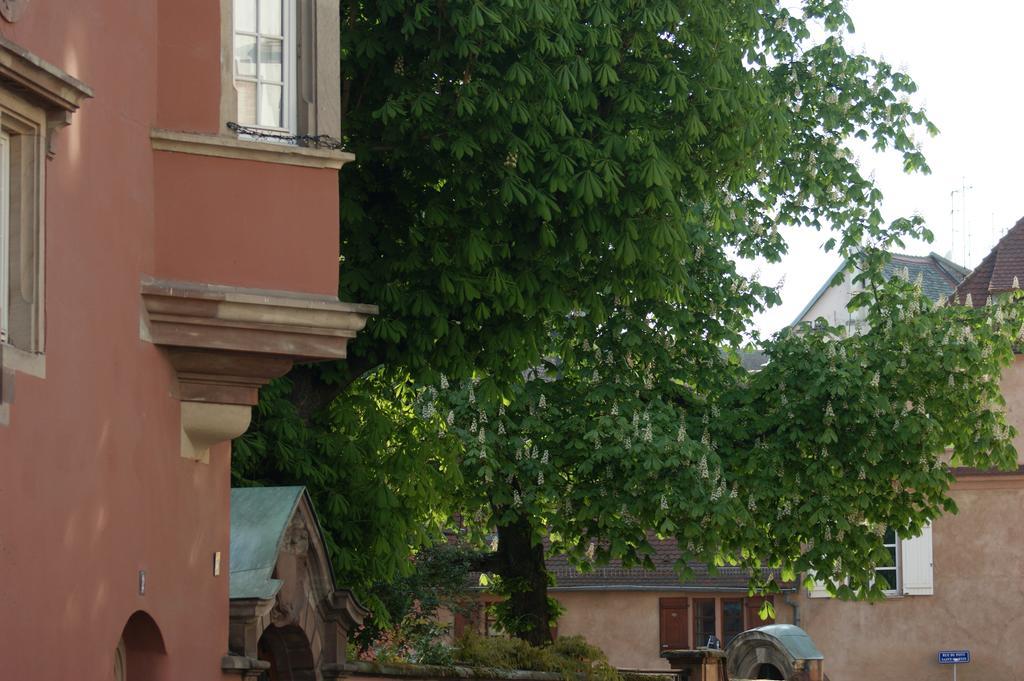 Quai 17 Maison D'Hotes Strasbourg Kültér fotó