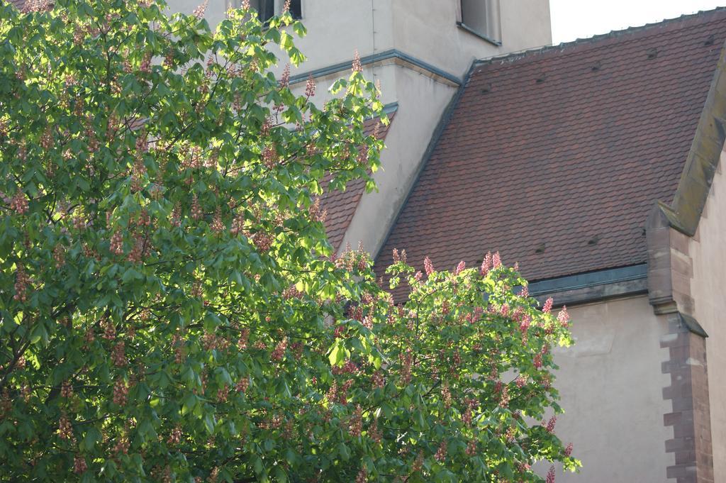 Quai 17 Maison D'Hotes Strasbourg Kültér fotó